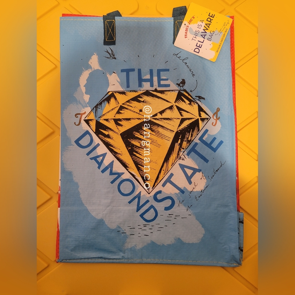Trader Joe’s Reusable State Bag (DELAWARE)